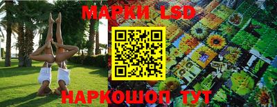 метадон Донской