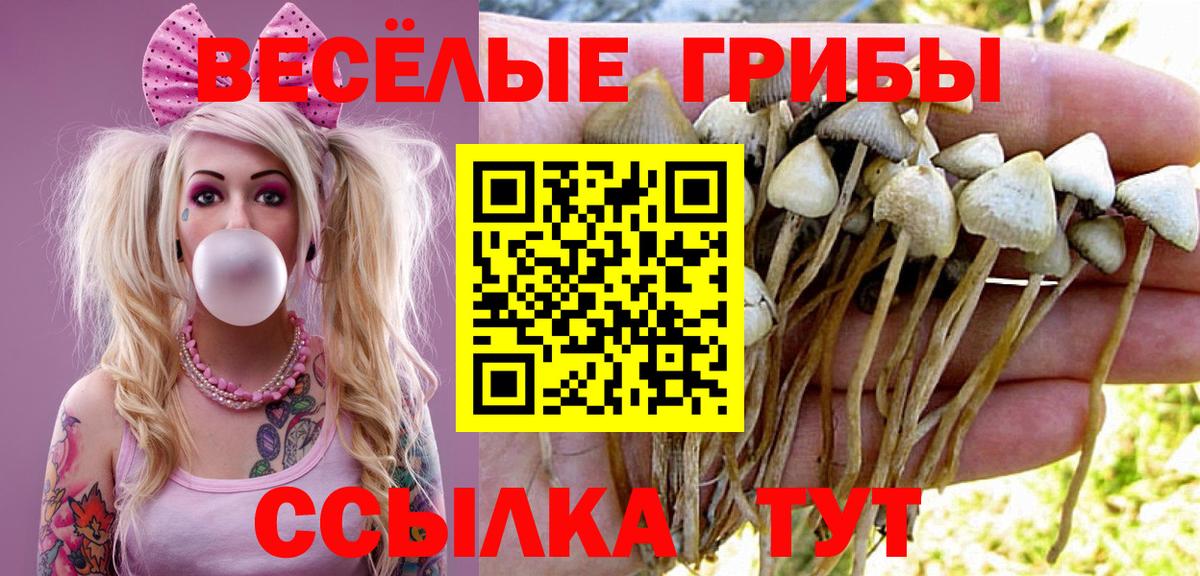 Псилоцибиновые грибы мицелий  Псилоцибиновые грибы MAGIC MUSHROOMS  Вход с VPN  Мелеуз 